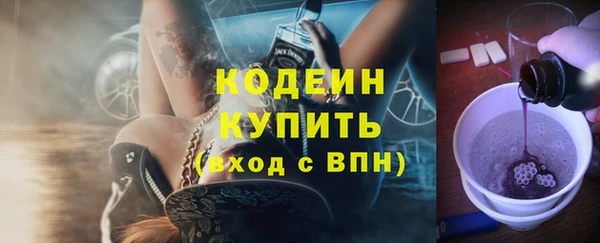 шишки Верея