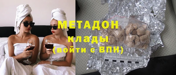шишки Верея