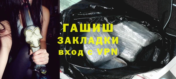 шишки Верея