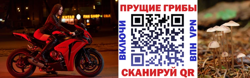 сайты даркнета телеграм  Закаменск  Псилоцибиновые грибы Cubensis 
